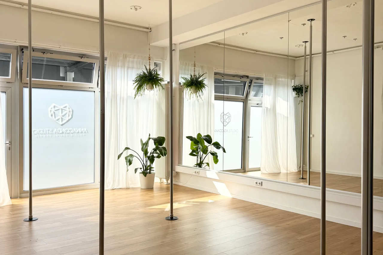 Studio 1: 6 Chrome Poles from Lupit