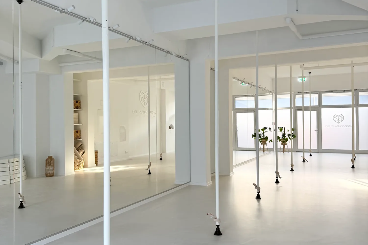 Studio 2: 11 GeckoGrip® Poles from The Pole