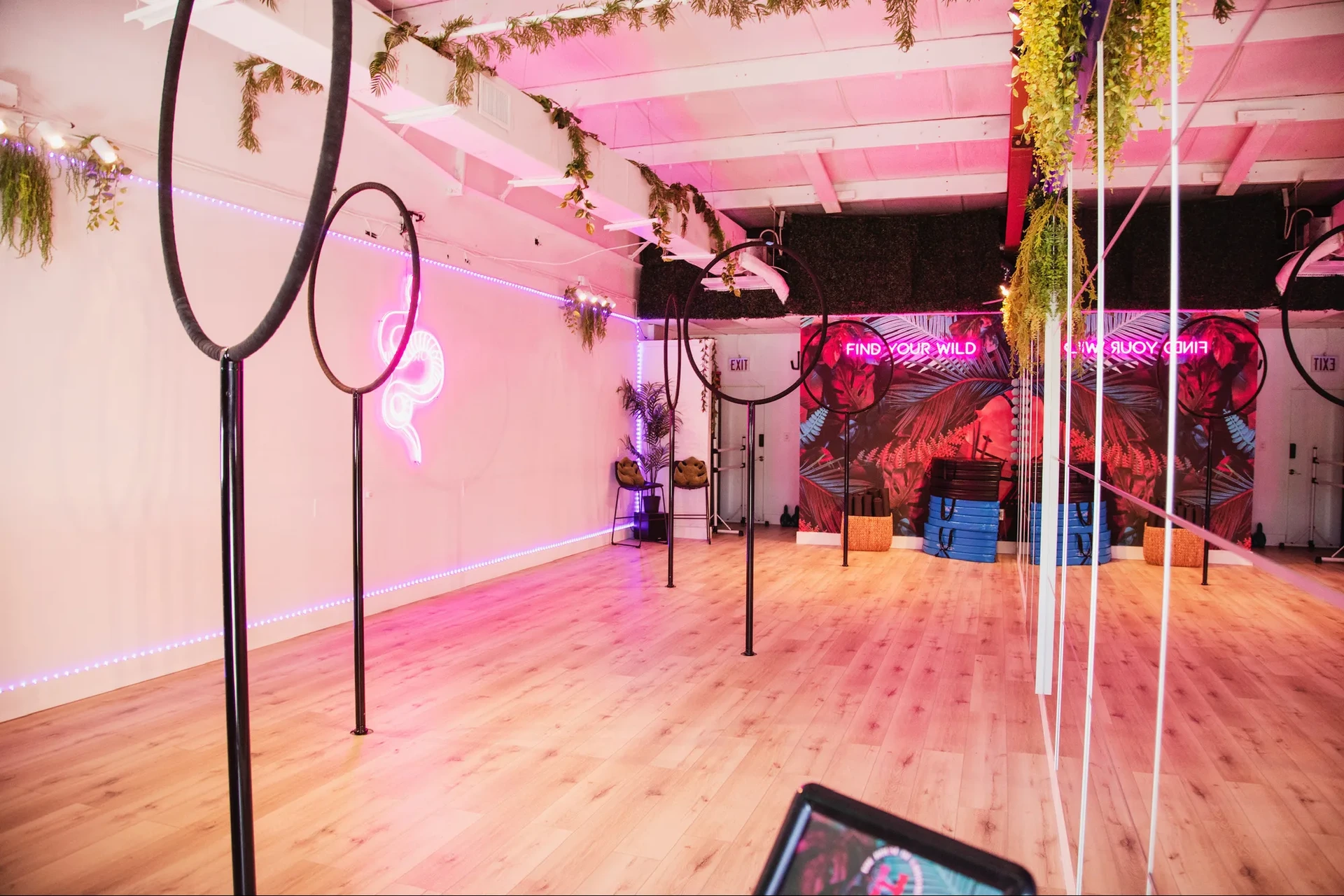 Studio 3 features five powder-coated Cartridge Poles from ThePole Italy, each offering the option to use a traditional pole or attach a Lollipop Lyra for even more versatility.  All five poles are completely removable, allowing the studio to transform into an open-floor space perfect for ground dance, heels, floorwork, flexibility, and other movement-based classes.