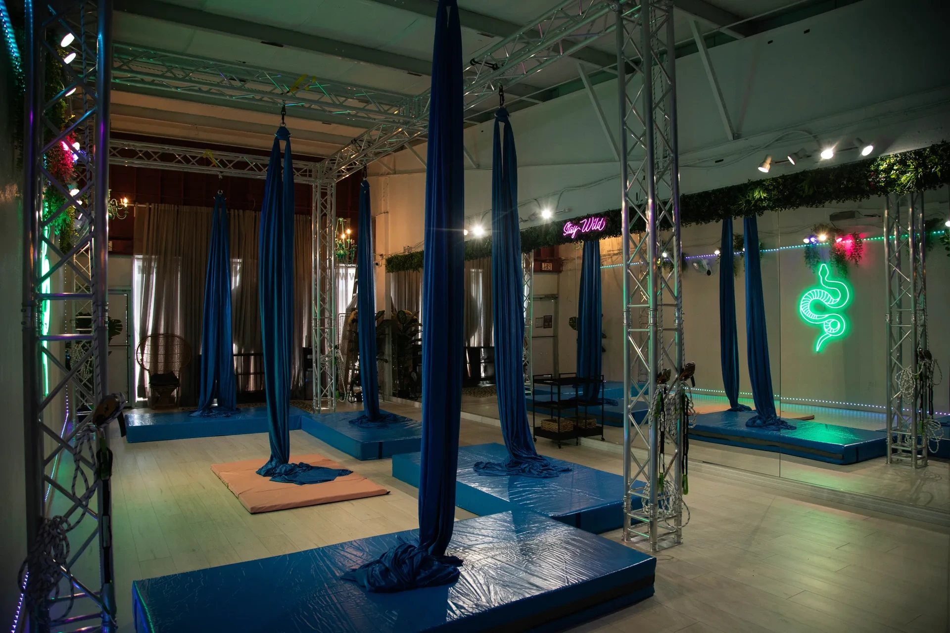 Studio 2 features a fully rated Vertical Art Dance truss system with five aerial rigging points, designed to accommodate a variety of aerial apparatuses. Each rigging point can be lowered to allow for easy apparatus changes, giving us the flexibility to offer multiple aerial class types and training experiences within the same space.